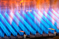 Bonchurch gas fired boilers
